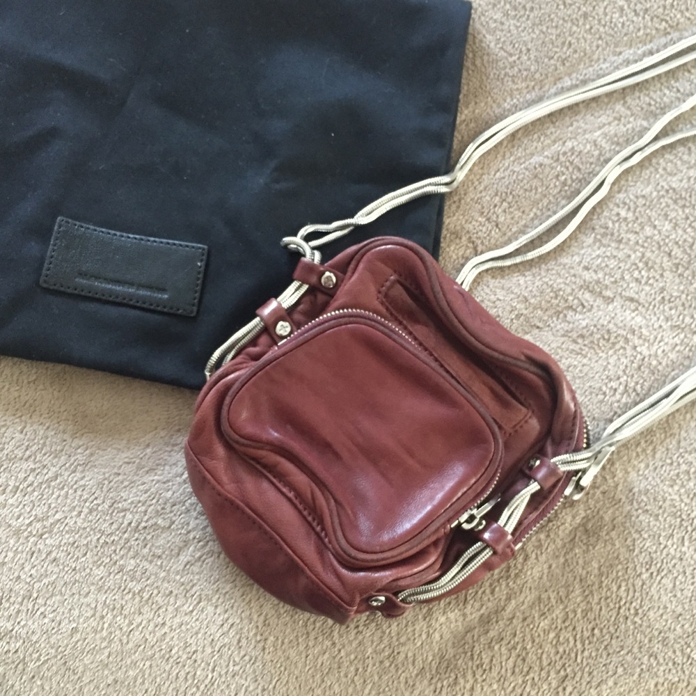 ✨PRICE DROPPED TO SELL✨ Alexander Wang mini Brenda